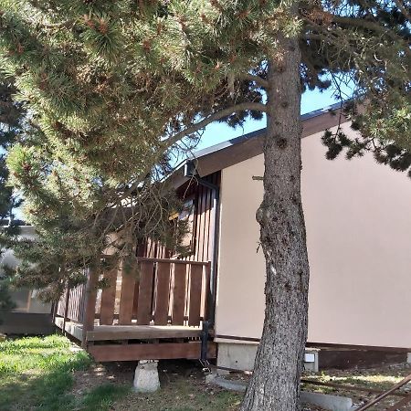 Chalet De L Ours Bolquere Pyrenees 2000 Dış mekan fotoğraf