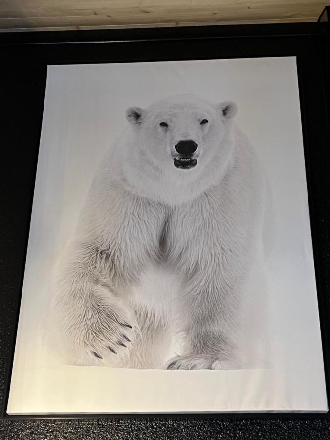 Chalet De L Ours Bolquere Pyrenees 2000 Dış mekan fotoğraf