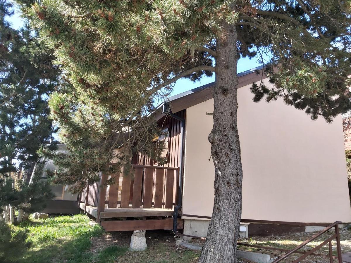 Chalet De L Ours Bolquere Pyrenees 2000 Dış mekan fotoğraf